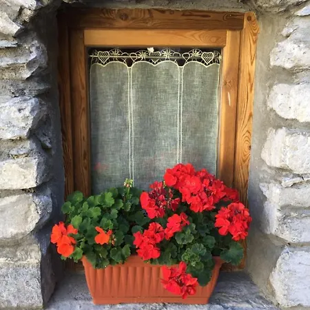 Lou Touas Dou Lamet A Apartment