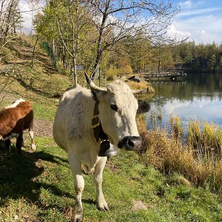 Apartment Lou Touas Dou Lamet A