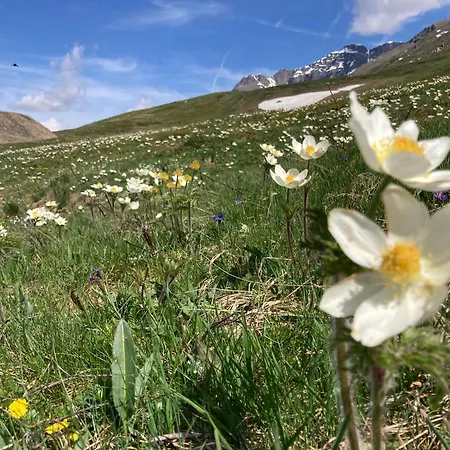 Апартаменты Lou Touas Dou Lamet A