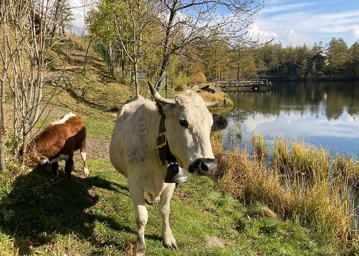 Апартаменты Lou Touas Dou Lamet A