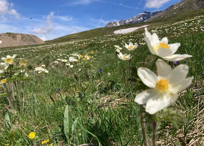 Апартаменты Lou Touas Dou Lamet A